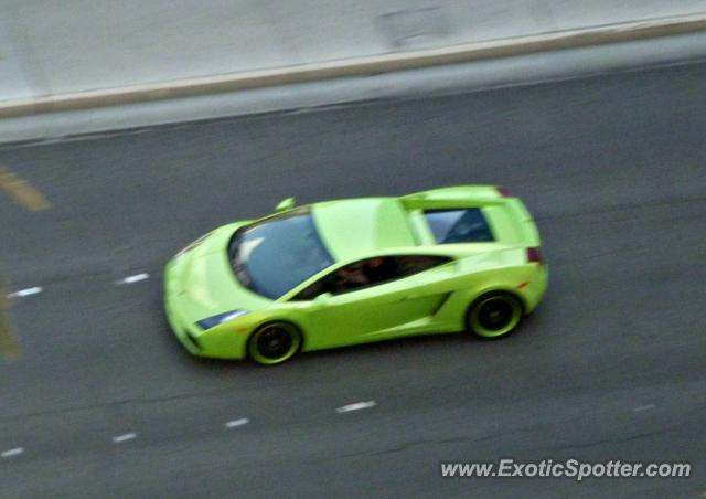 Lamborghini Gallardo spotted in Las Vegas, Nevada