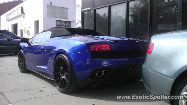 Lamborghini Gallardo spotted in Great Neck, New York