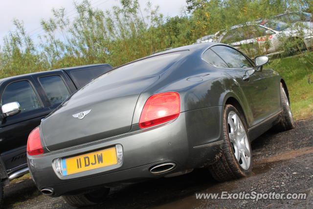 Bentley Continental spotted in Knockhill, United Kingdom