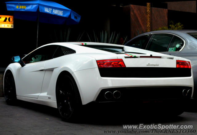 Lamborghini Gallardo spotted in Ciudad de México, Mexico