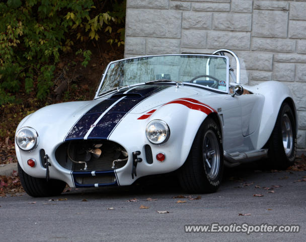 Shelby Cobra spotted in Grafton, Illinois