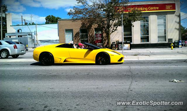 Lamborghini Murcielago spotted in London, Ontario, Canada