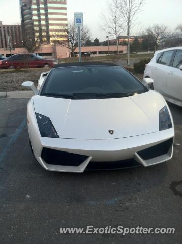Lamborghini Gallardo spotted in Dearborn, Michigan
