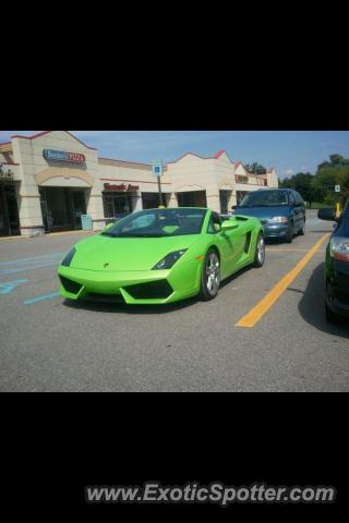 Lamborghini Gallardo spotted in Westland, Michigan