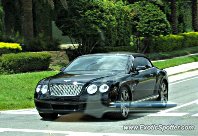 Bentley Continental spotted in Doctor Phillips, Florida