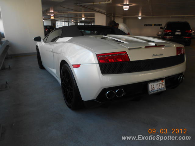Lamborghini Gallardo spotted in Chicago, Illinois