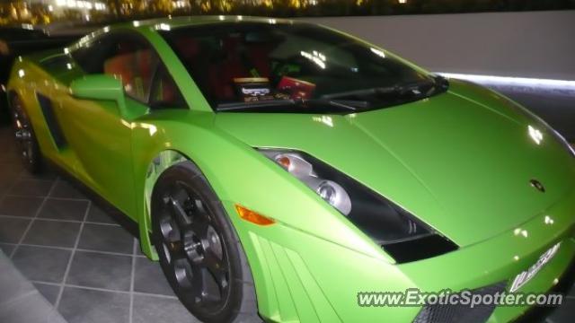 Lamborghini Gallardo spotted in Abu Dhabi, United Arab Emirates