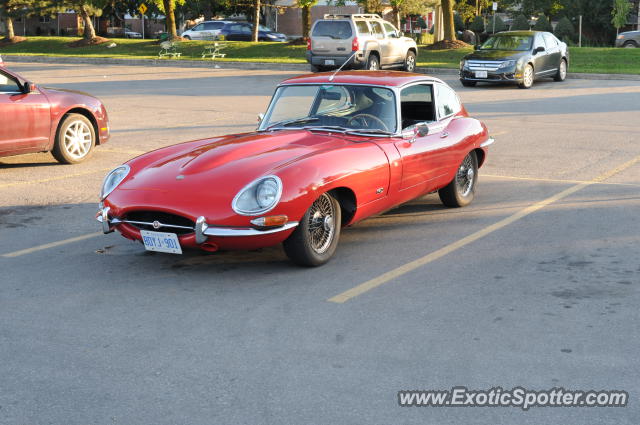 Jaguar E-Type spotted in Guelph, Ontario, Canada