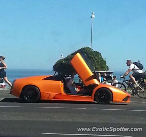 Lamborghini Murcielago spotted in Clifton, South Africa