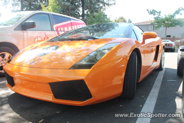 Lamborghini Gallardo spotted in Danville, California