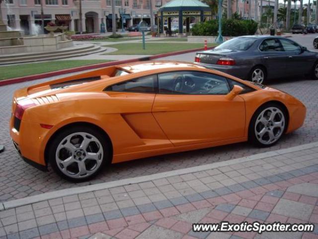 Lamborghini Gallardo spotted in Palm Beach, Florida