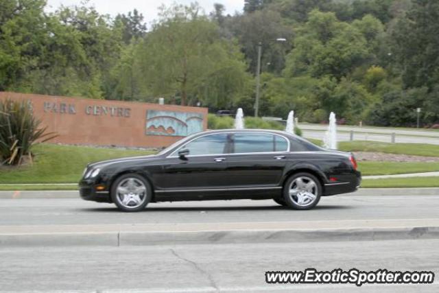 Bentley Continental spotted in Calabasas, California