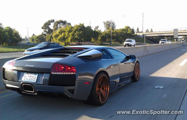 Lamborghini Murcielago spotted in Anaheim, California