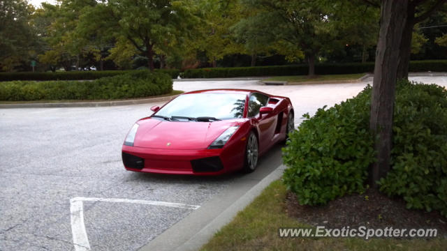 Lamborghini Gallardo spotted in Owings Mills, United States