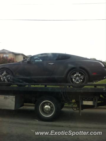 Bentley Continental spotted in Dallas, Texas