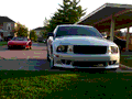 Saleen S281