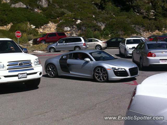 Audi R8 spotted in Trukee, California