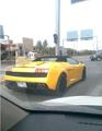 Lamborghini Gallardo