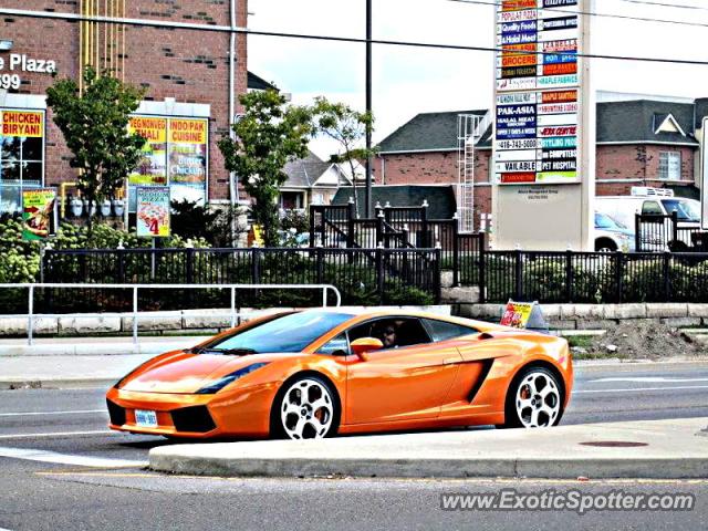 Lamborghini Gallardo spotted in Vaughan, Canada