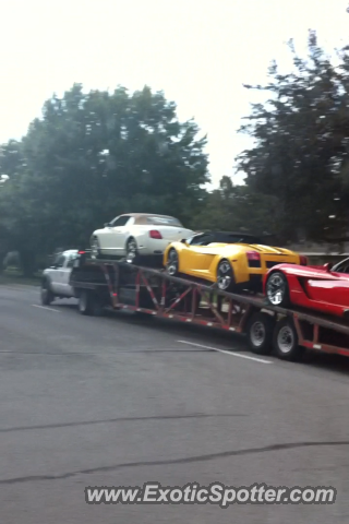 Lamborghini Gallardo spotted in Dallas, Texas