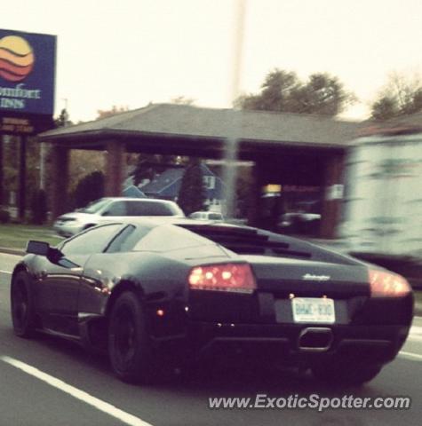 Lamborghini Murcielago spotted in Toronto, Ontario, Canada