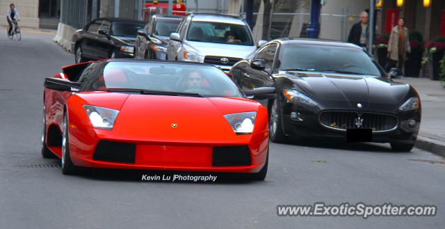 Lamborghini Murcielago spotted in Toronto, Canada