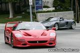 Ferrari F50