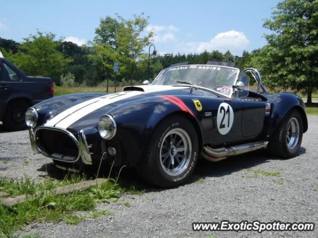 Shelby Cobra spotted in Sterling, Virginia
