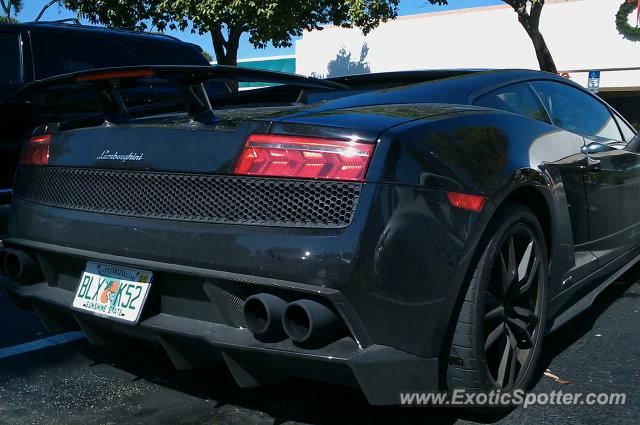 Lamborghini Gallardo spotted in Margate, Florida