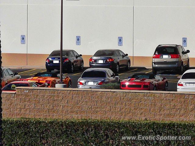 Lamborghini Gallardo spotted in Scottsdale, Arizona