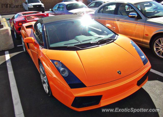 Lamborghini Gallardo spotted in Scottsdale, Arizona