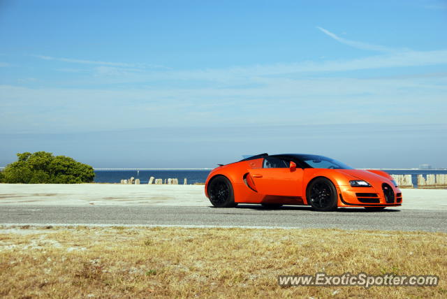 Bugatti Veyron spotted in Tampa, Florida
