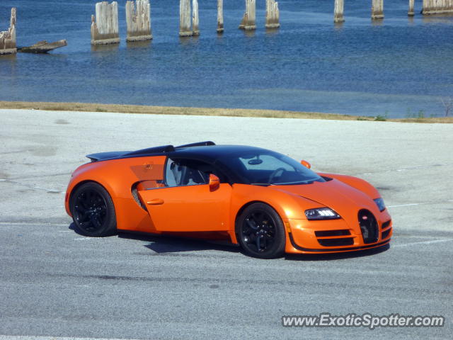 Bugatti Veyron spotted in Tampa, Florida