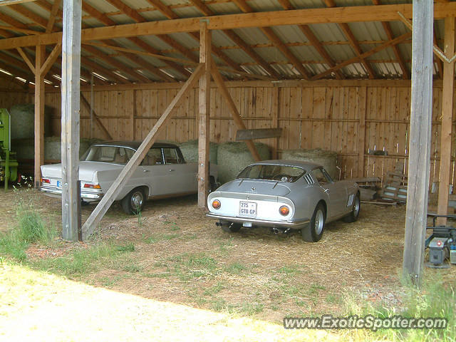 Ferrari 275 spotted in Johannesburg, South Africa