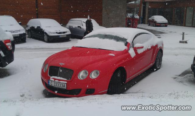 Bentley Continental spotted in BANSKO, Bulgaria