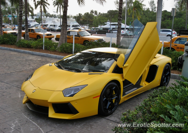 Lamborghini Aventador spotted in Miami, Florida
