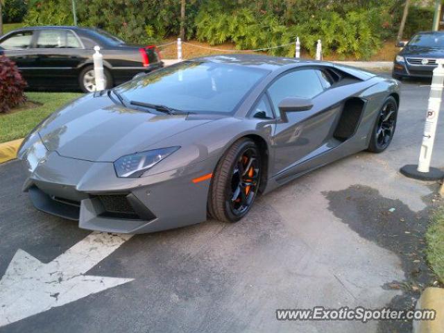 Lamborghini Aventador spotted in Hallandale Beach, Florida
