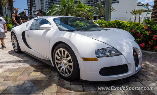 Bugatti Veyron spotted in Sunny Isles, Florida