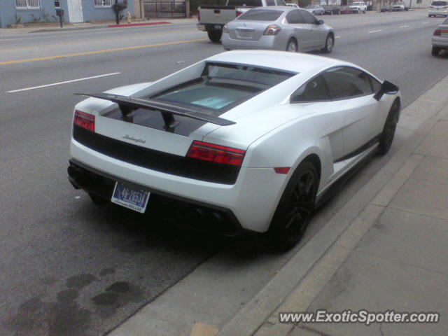 [http://www.exoticspotter.com/images/83/82480.jpg]