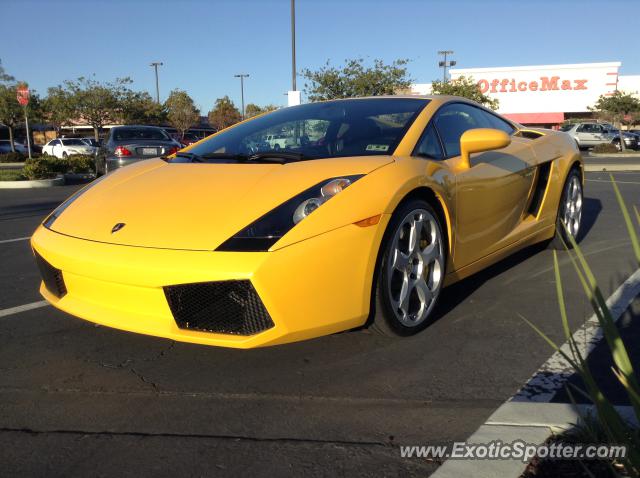 Lamborghini Gallardo spotted in Alameda, California