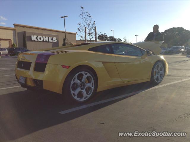 Lamborghini Gallardo spotted in Alameda, California