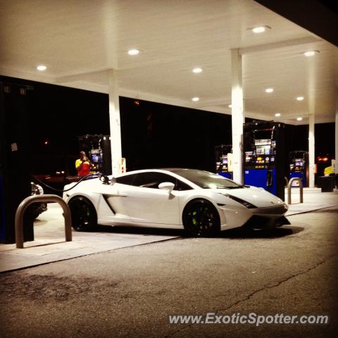 Lamborghini Gallardo spotted in Boynton Beach, Florida