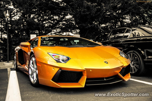 Lamborghini Aventador spotted in Monterey, California
