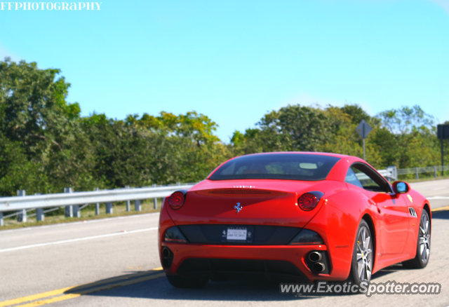 Ferrari California spotted in Everglades, Florida