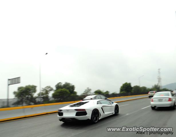 Lamborghini Aventador spotted in Distrito Federal, Mexico