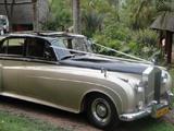 Rolls Royce Silver Cloud