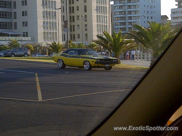 Other Other spotted in Cape Town, South Africa