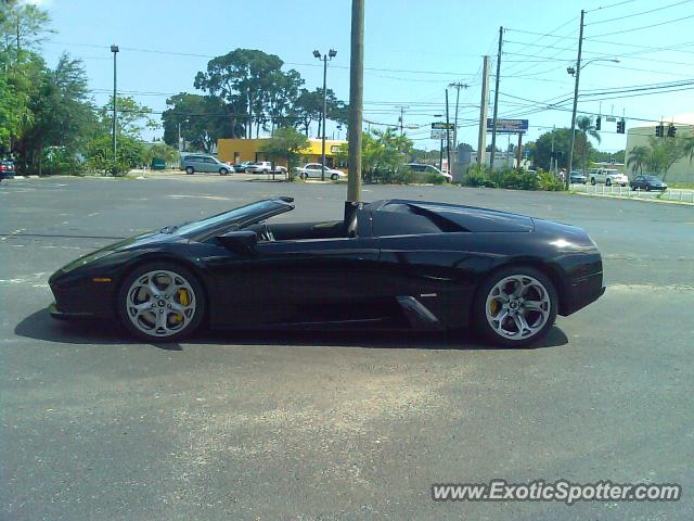 Lamborghini Murcielago spotted in St Petersburg, Florida