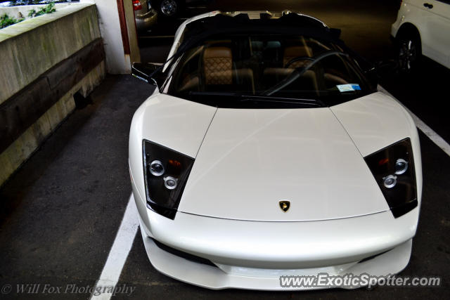 Lamborghini Murcielago spotted in Greenwich, Connecticut