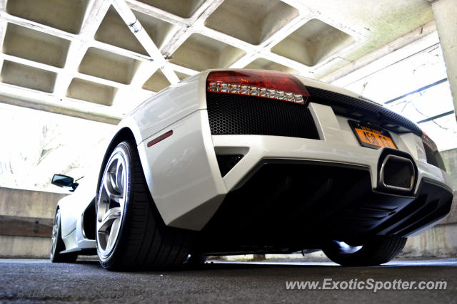 Lamborghini Murcielago spotted in Greenwich, Connecticut